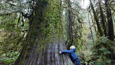 37140