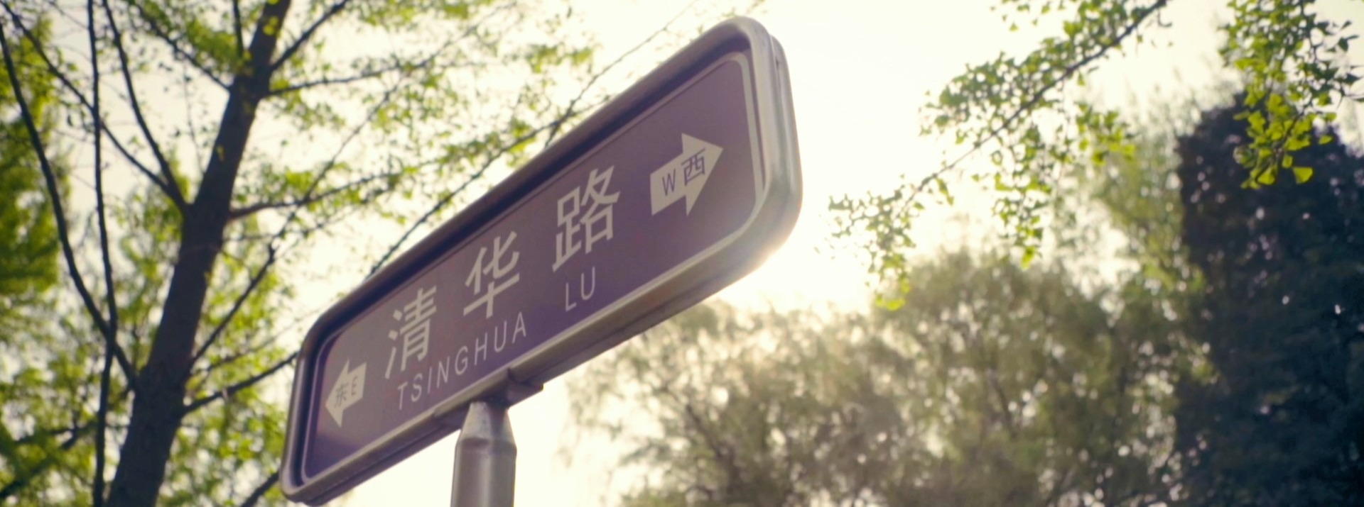 大发彩票平台