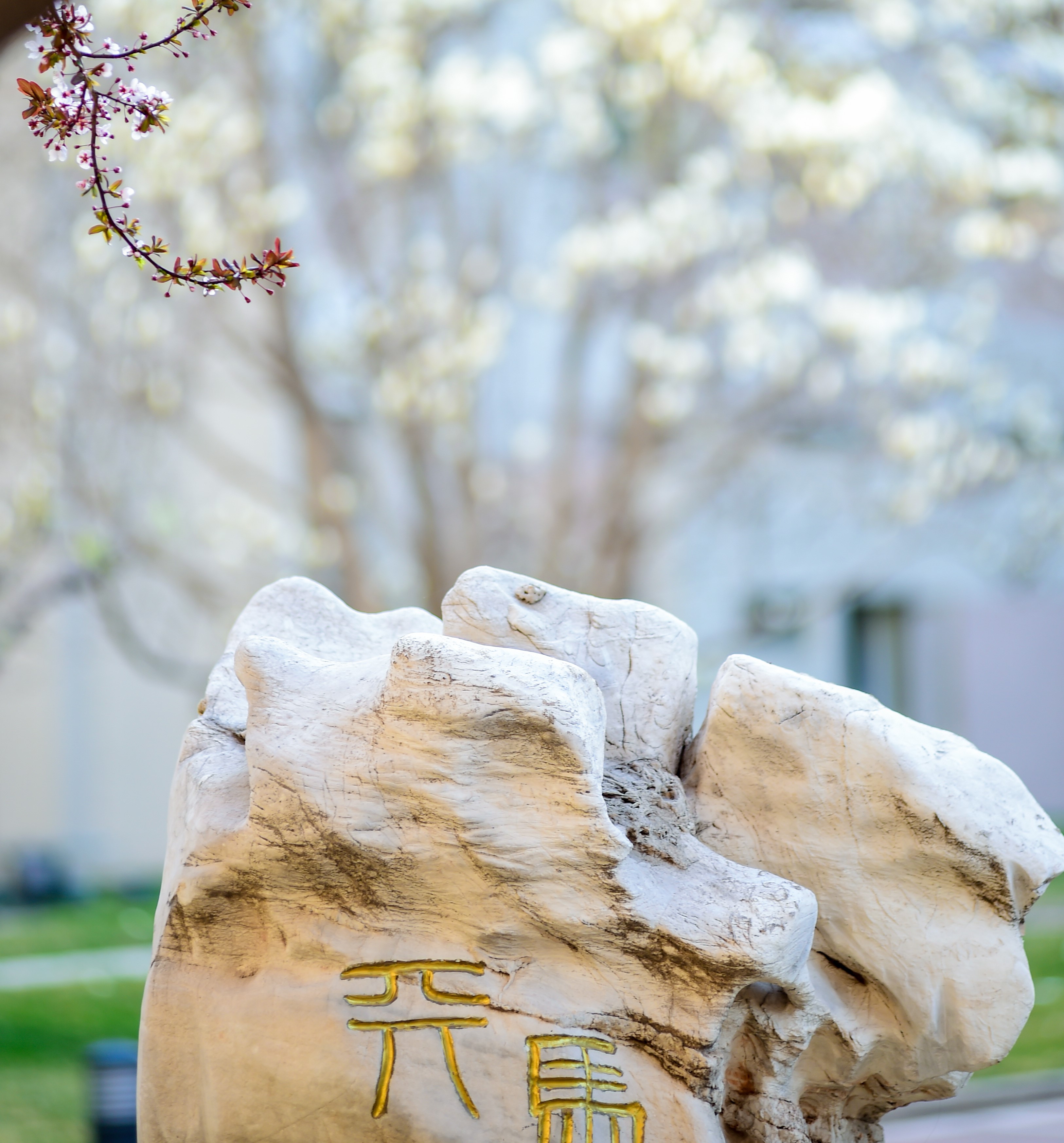 大发彩票平台